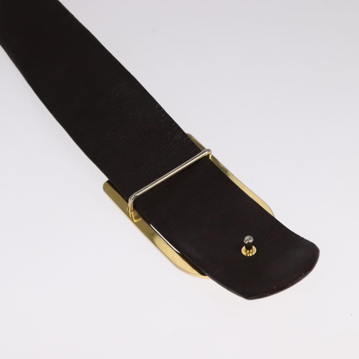 christian dior trotter canvas belt