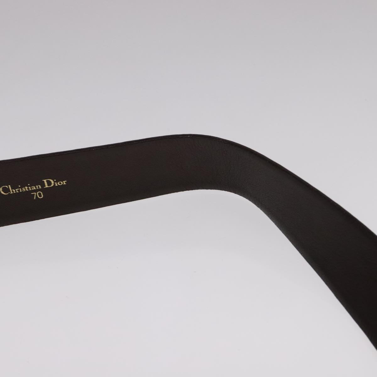 christian dior trotter canvas belt