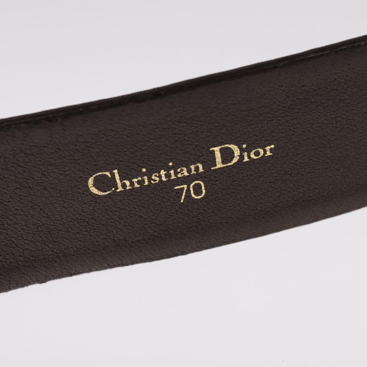 christian dior trotter canvas belt