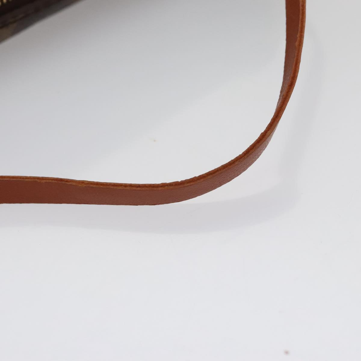 louis vuitton monogram papillon pouch