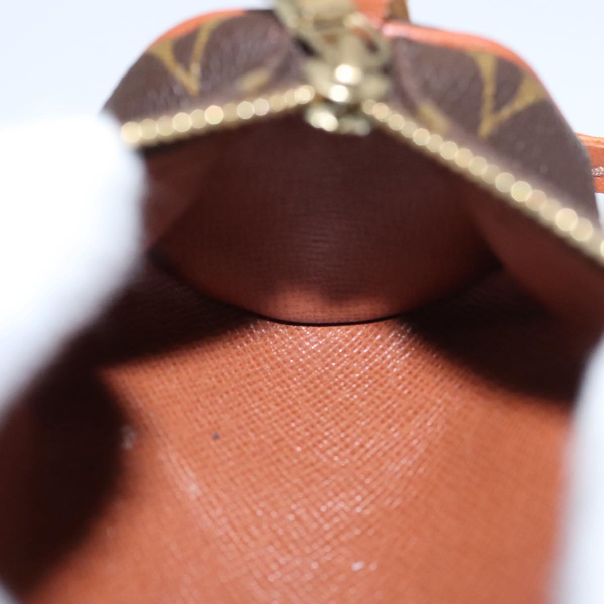 louis vuitton monogram papillon pouch
